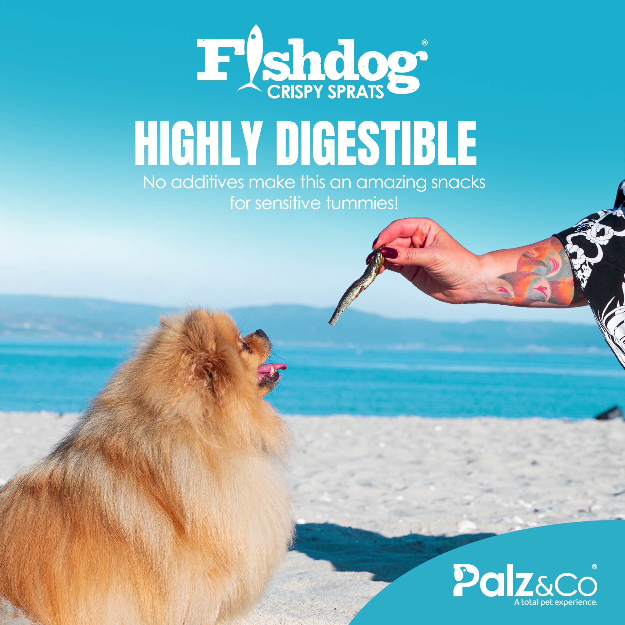 Fishdog Crispy Sprats - 2.5 oz (70g)