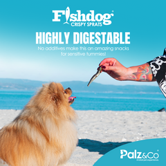 Fishdog Crispy Sprats Dog Treats – Whole Wild-Caught Fish Snacks for Dogs – All-Natural, Omega-3 Rich, Single Ingredient – 2.5 oz (70g) by Palz&Co