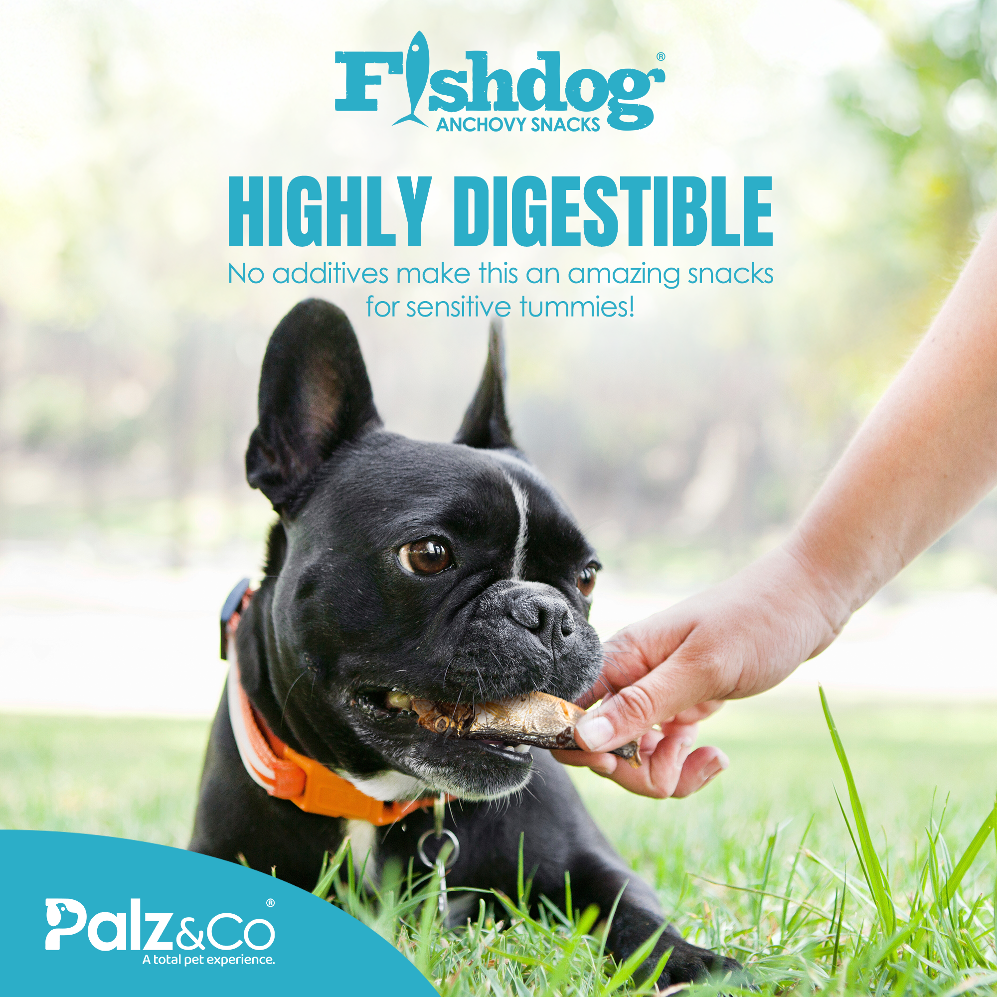 Fishdog Anchovy Snacks - 2.5 oz (70g)