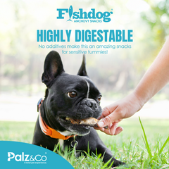 Fishdog Anchovy Dog Treats - Wild-Caught Whole Anchovy Snacks for Dogs - All-Natural, Omega-3 Rich, Joint Support – 2.5 oz (70g) by Palz&Co