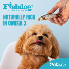 Fishdog Anchovy Dog Treats - Wild-Caught Whole Anchovy Snacks for Dogs - All-Natural, Omega-3 Rich, Joint Support – 2.5 oz (70g) by Palz&Co