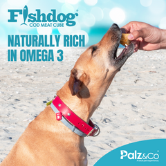 Fishdog Cod Meat Cubes for Dogs – Wild-Caught, Omega-3 Rich Dog Treats – Single Ingredient, All-Natural, Crunchy Cod Fish Snacks – 2 oz (60g) by Palz&Co
