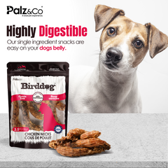 BirdDog Chicken Necks, 3.5 oz