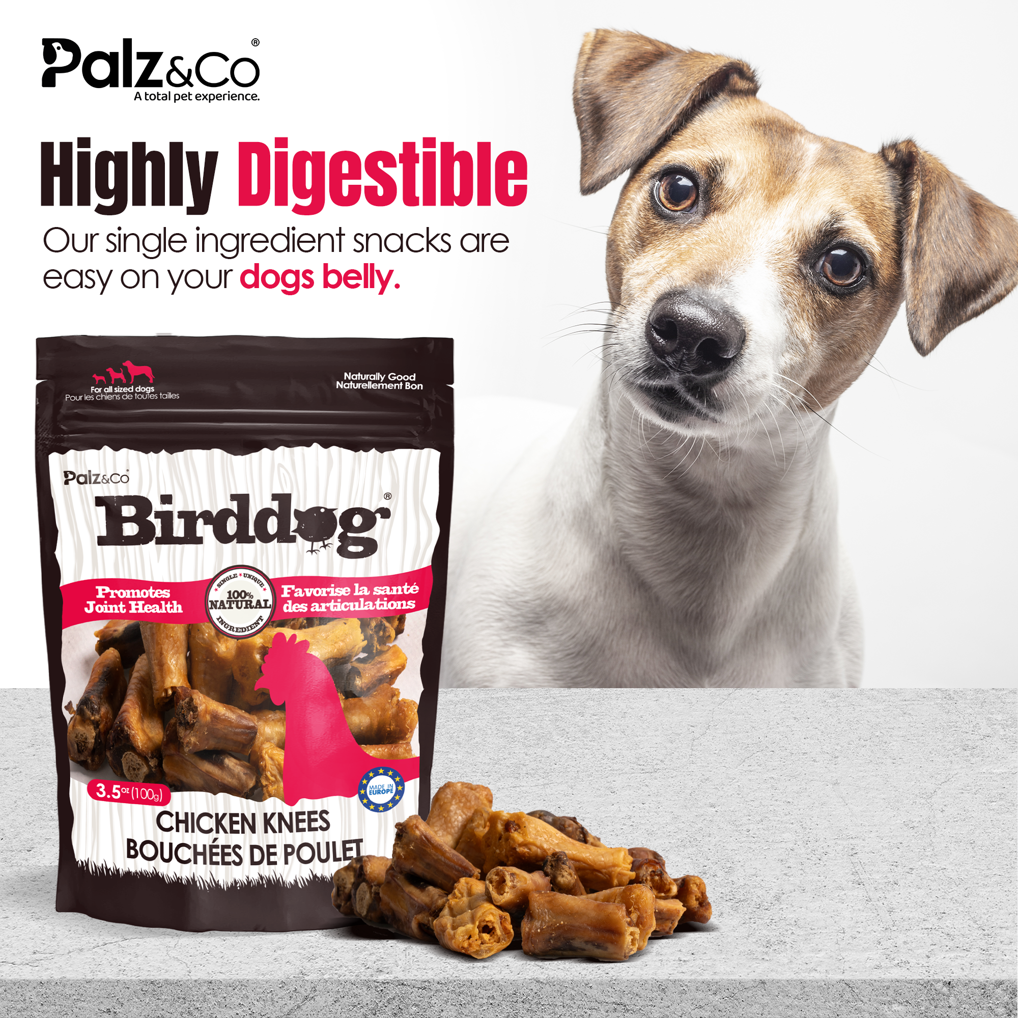 dog and chicken knees