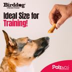 Dog eat chicken knees