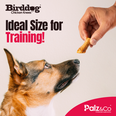 Birddog Chicken Knees - 3.5 oz (100g)