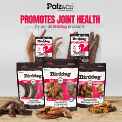 Birddog Chicken Knees Dog Treats – 100% Natural, Grain-Free, Joint Support – Crunchy Bone Chews for Dogs – 3.5 oz (100g)