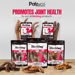 Birddog Chicken Knees Dog Treats – 100% Natural, Grain-Free, Joint Support – Crunchy Bone Chews for Dogs – 3.5 oz (100g)