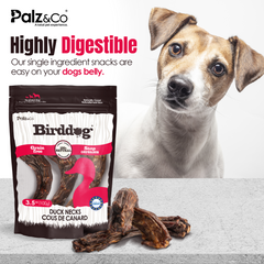 BirdDog Duck Necks, 3.5 oz