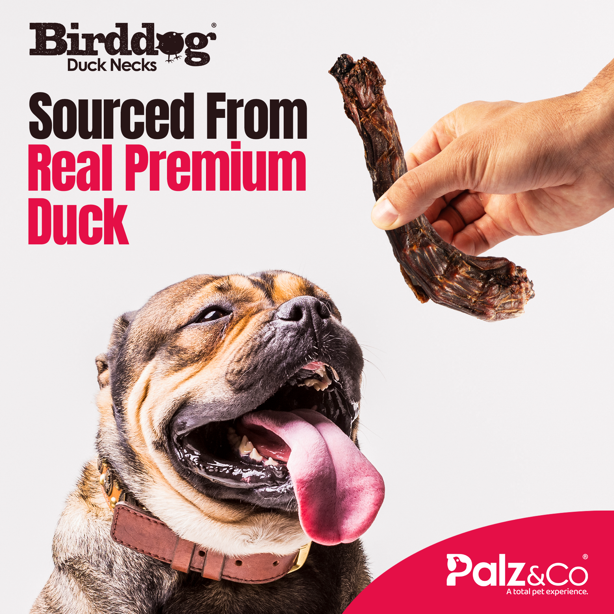 Birddog Duck Necks - 3.5 oz (100g)