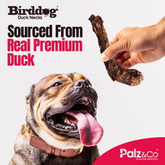 Birddog Duck Necks - 3.5 oz (100g)
