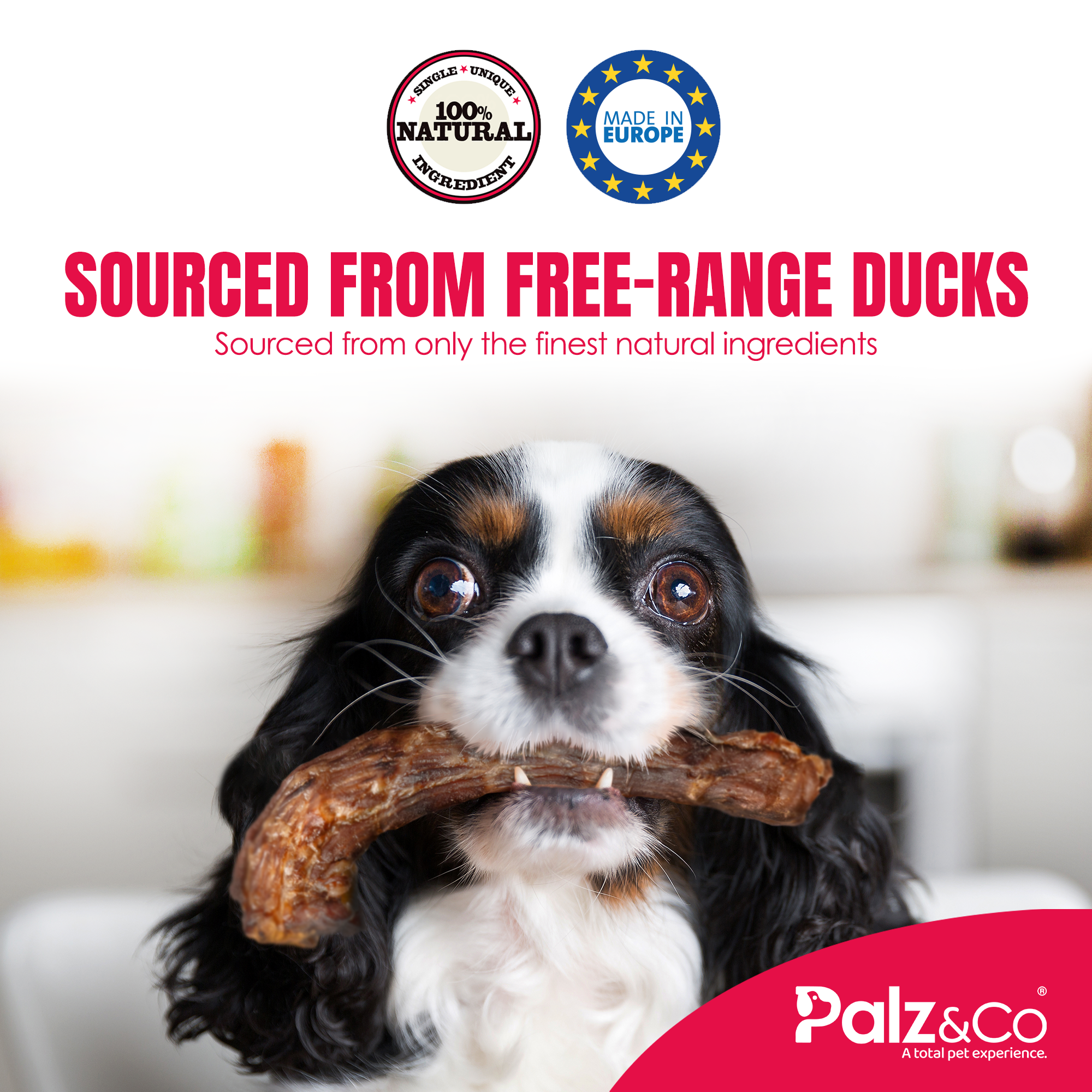 Birddog Duck Necks - 3.5 oz (100g)