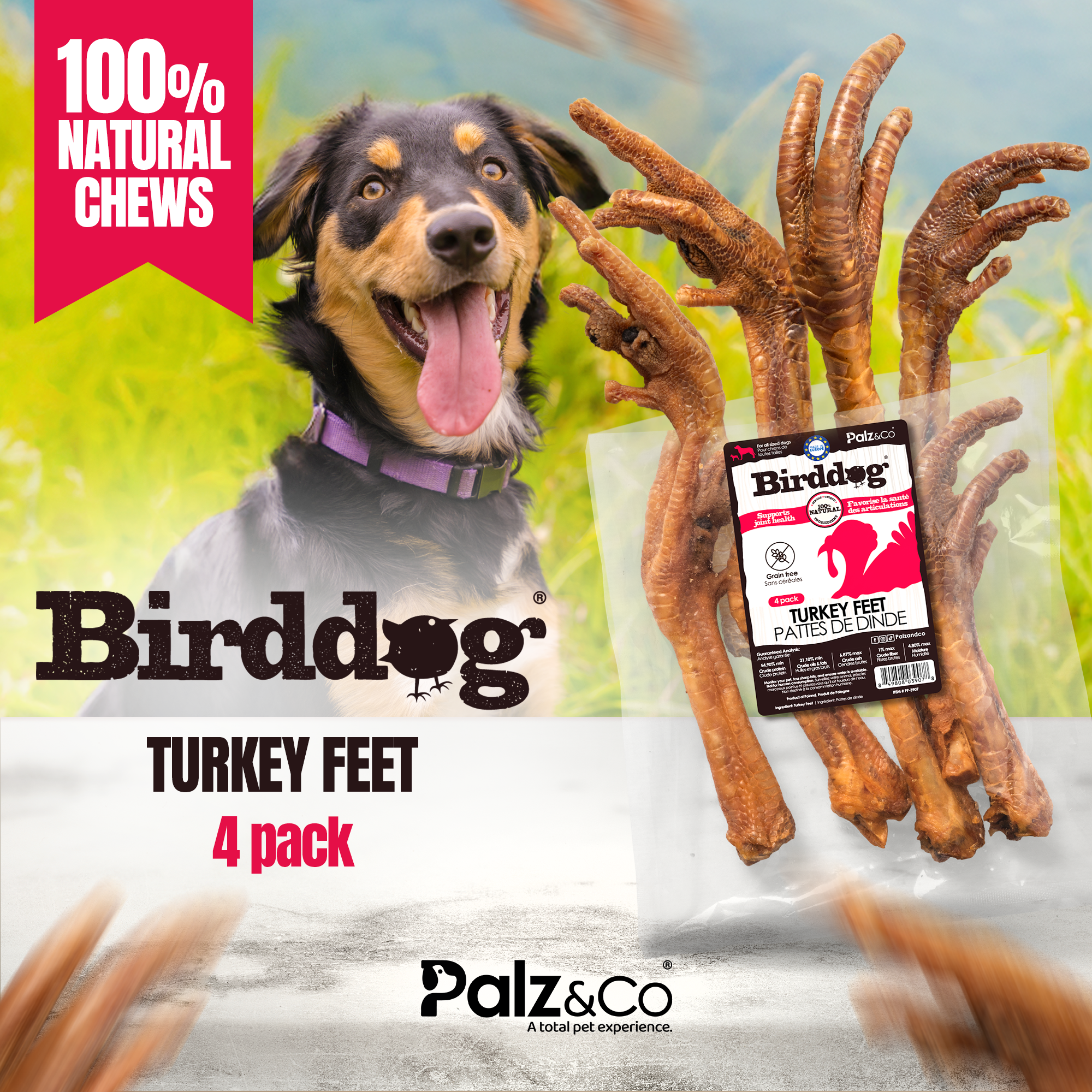 Birddog Turkey Feet - 4 Pack