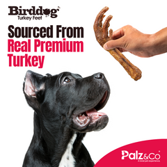 Birddog Turkey Feet - 4 Pack