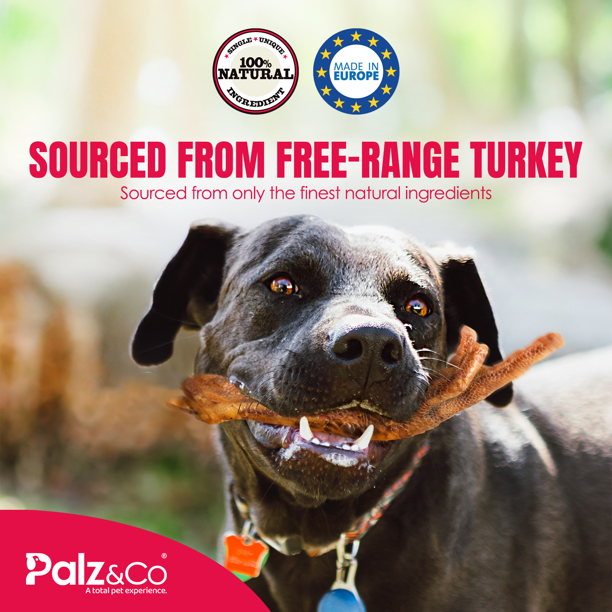 Birddog Turkey Feet - 4 Pack