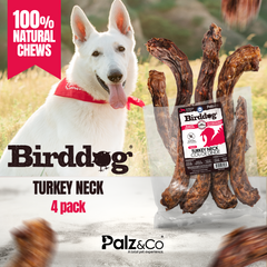 BirdDog Turkey Necks, 4-Pack