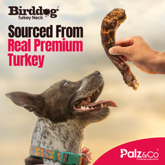 BirdDog Turkey Necks, 4-Pack