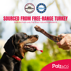 BirdDog Turkey Necks, 4-Pack