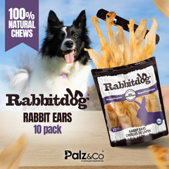 RabbitDog Rabbit Ears