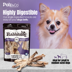 Rabbitdog Rabbit Ears - With Fur