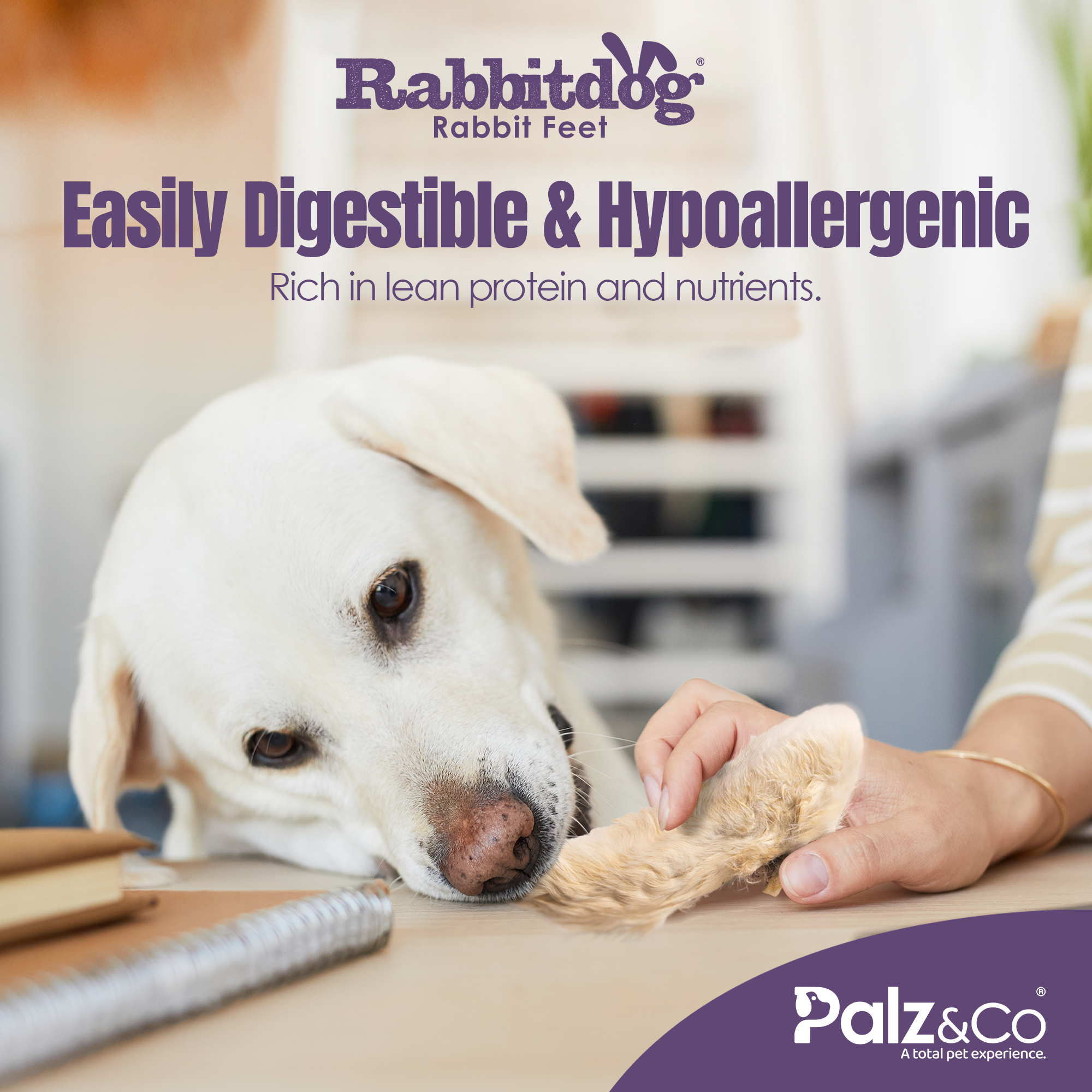 Rabbitdog Rabbit Feet with Fur - 3.5 oz (100g)