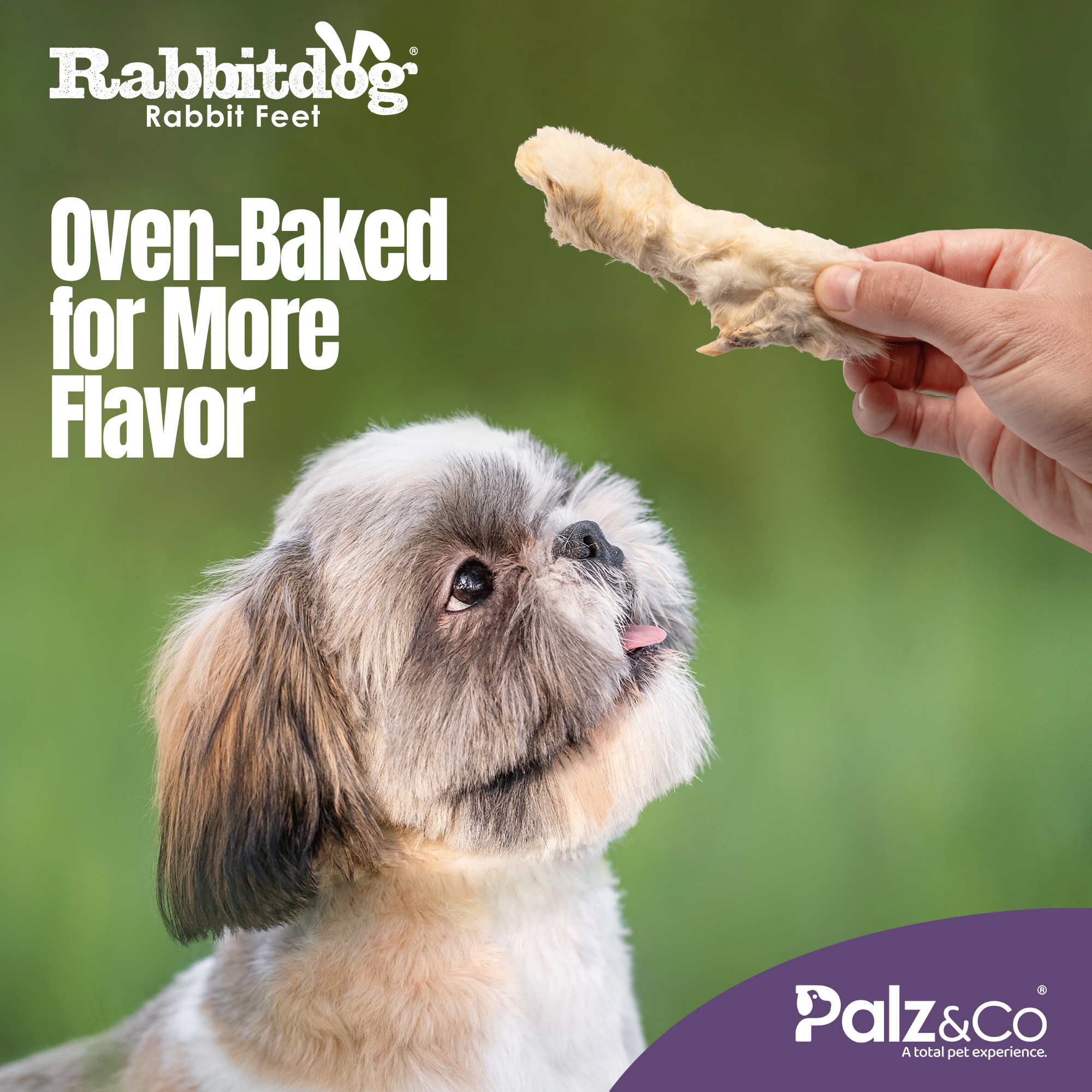 Rabbitdog Rabbit Feet with Fur - 3.5 oz (100g)