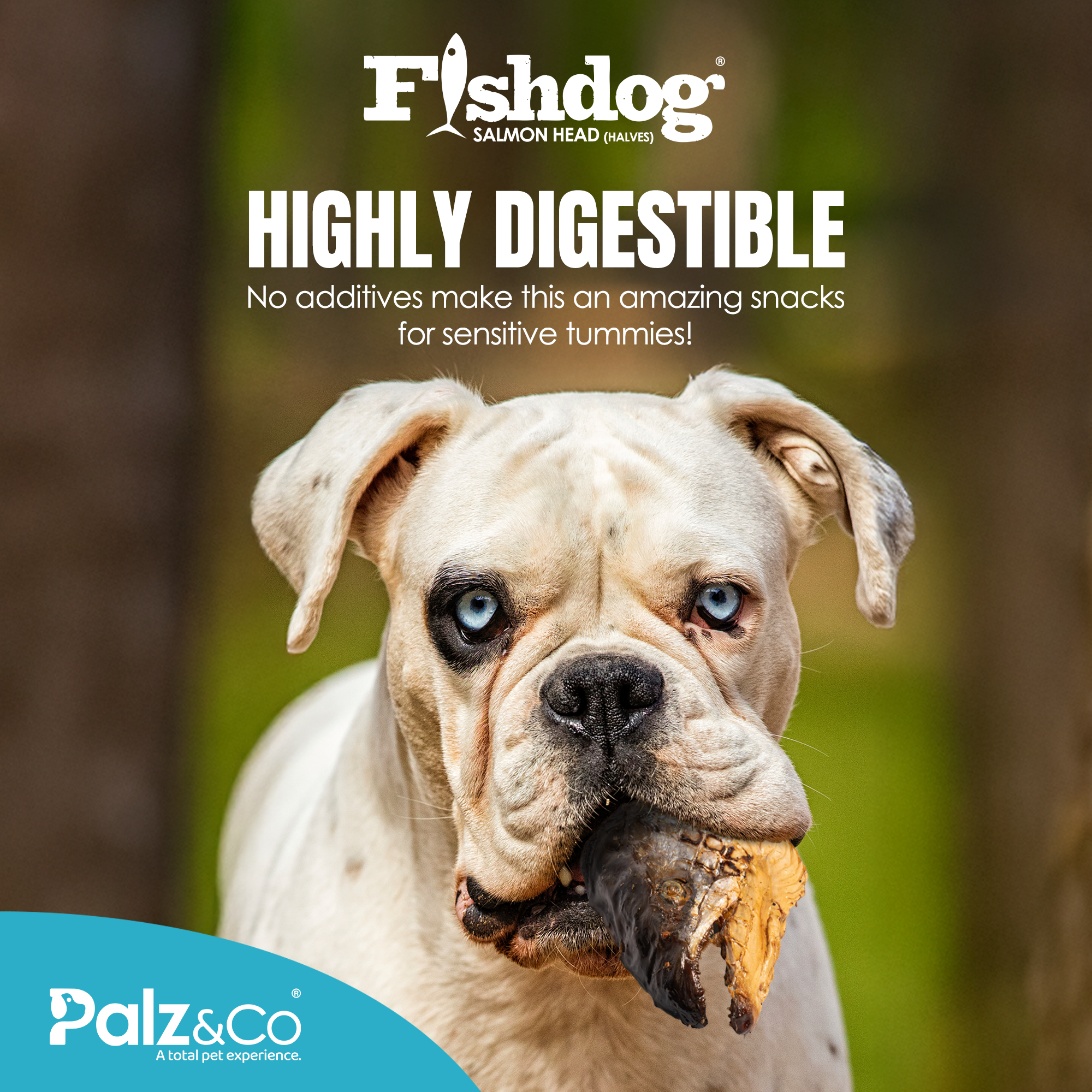 Fishdog Salmon Head (halves) - 4.5 oz (127g)