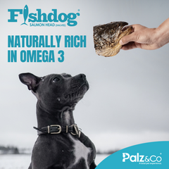 Fishdog Salmon Head Dog Treats - 4.5 oz (127g) by Palz&Co
