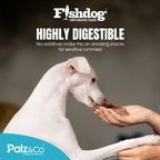 Fishdog Dehydrated Squid - 2 oz (60g)