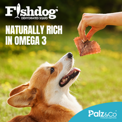 Fishdog Squid Dog Treats – Dehydrated Wild-Caught Squid for Dogs – Rich in Omega-3, High Protein, All-Natural, Single Ingredient Snack – 2 oz (60g) by Palz&Co