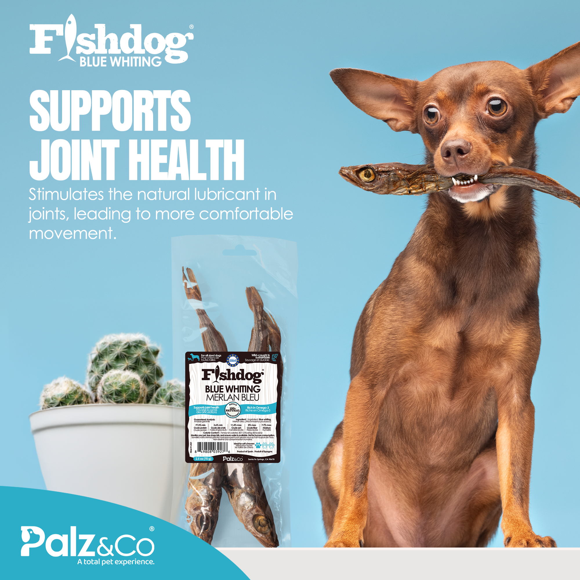 Fishdog Blue Whiting - 2.5 oz (70g)