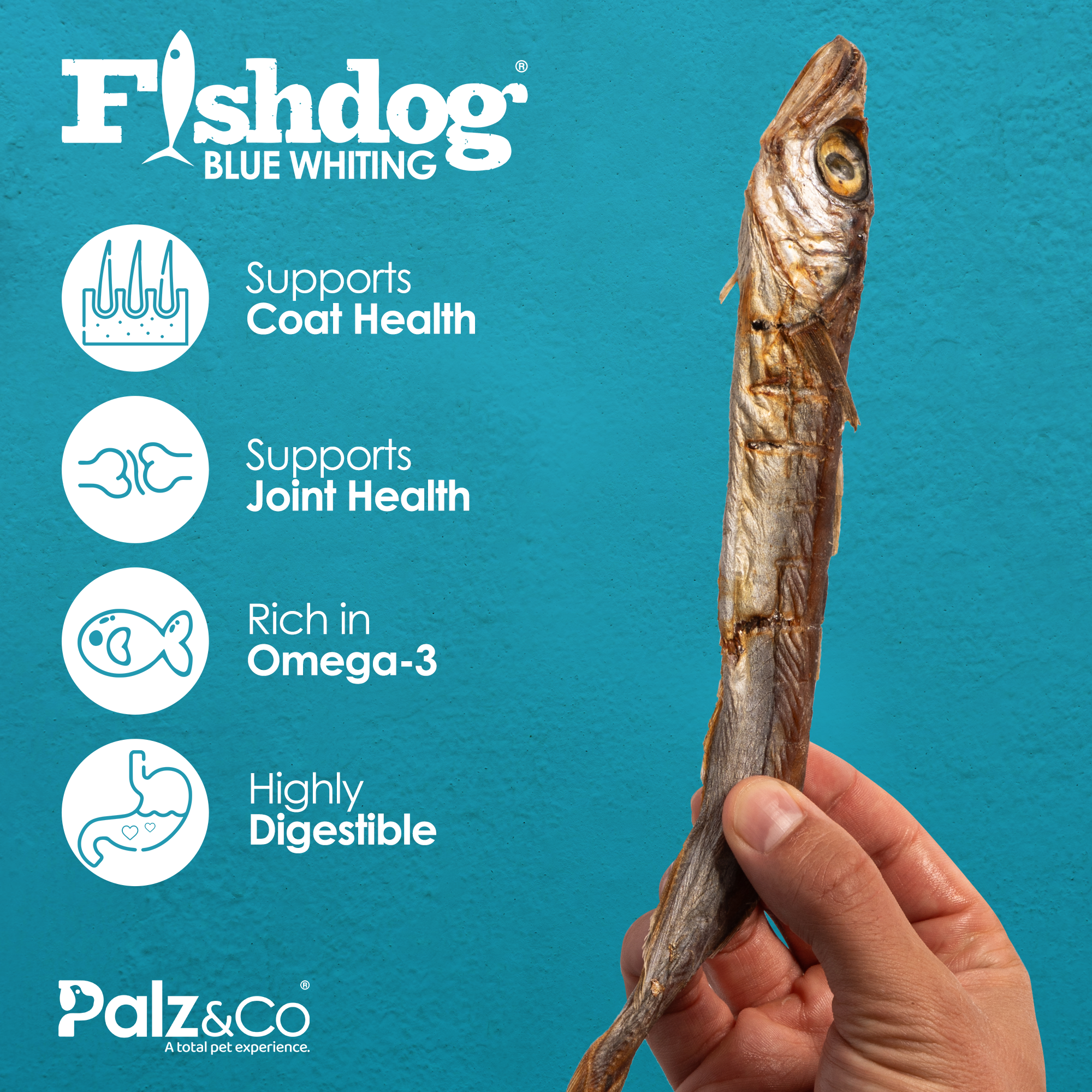 Fishdog Blue Whiting - 2.5 oz (70g)