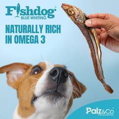 Fishdog Blue Whiting Dog Treats - Whole Fish Dog Snack, Wild-Caught & All-Natural - Omega-3 Rich, Supports Joint Health - 2.5 oz (70g) by Palz&Co