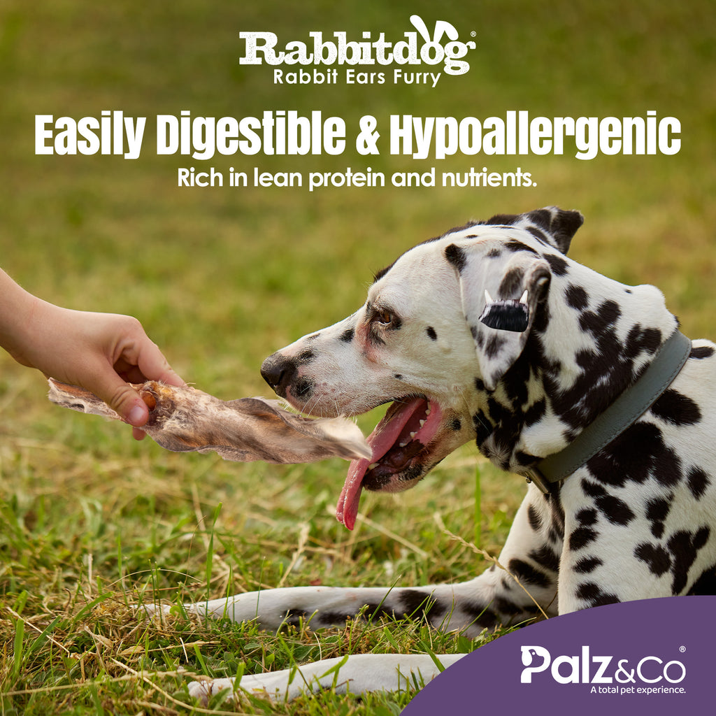 Rabbit Ears - 2.2 lbs (1kg) 