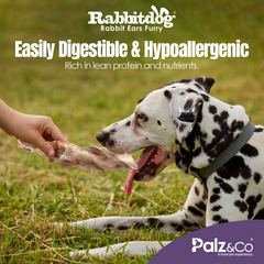 RabbitDog Rabbit Ears - 1kg
