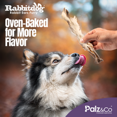 RabbitDog Rabbit Ears - 1kg