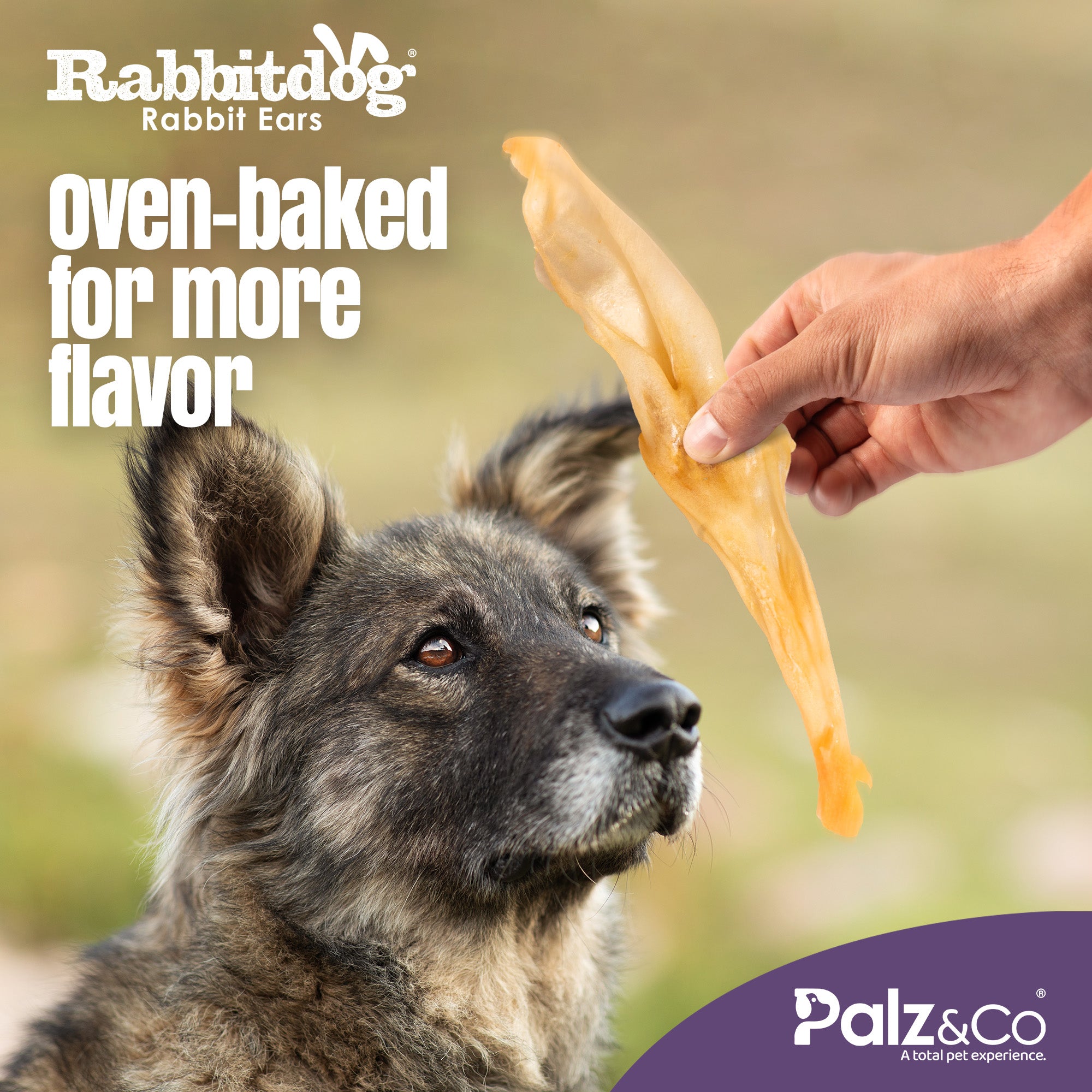 Rabbitdog Rabbit Ears 