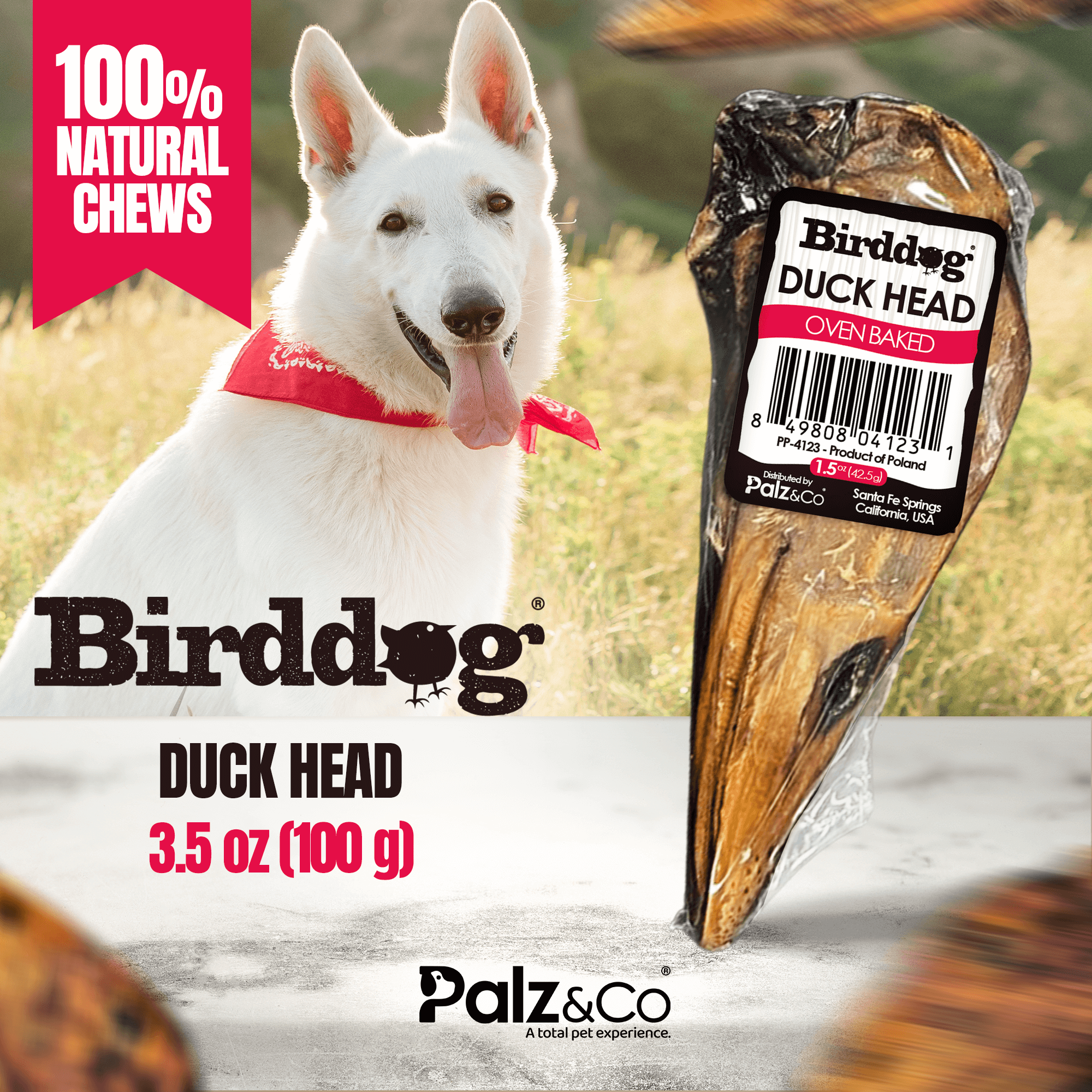Birddog duck head chew with a dog in the background and branding elements.