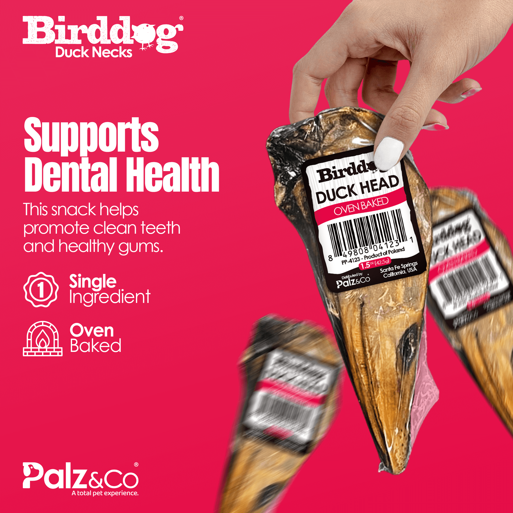 Birddog Duck Neck snack packaging with a hand holding it against a pink background