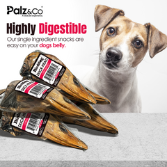 Birddog Duck Head - Pack of 1