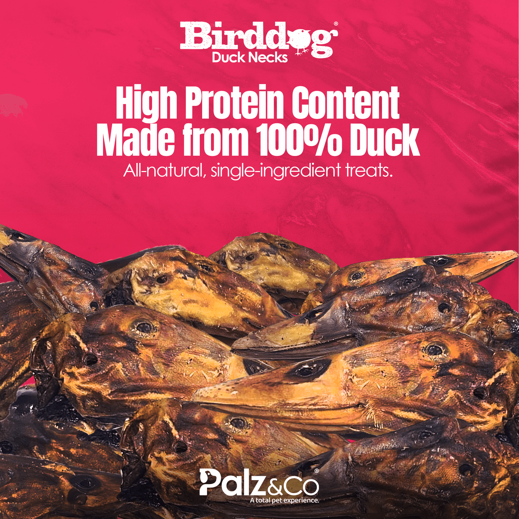 Birddog Duck Head 1-Pack