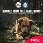 Birddog Duck Head 1-Pack