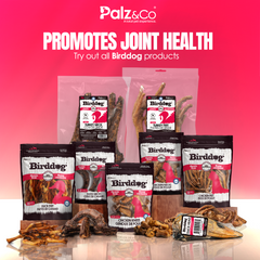 Birddog Duck Head - Pack of 1