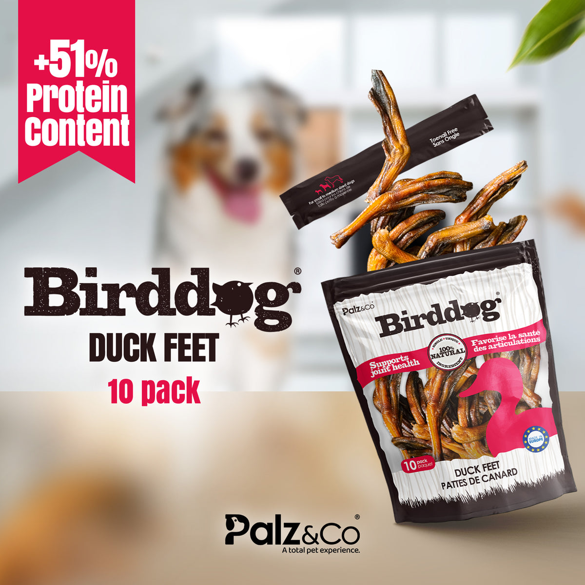 Birddog Duck Feet - Pack of 10 & Pack of 35