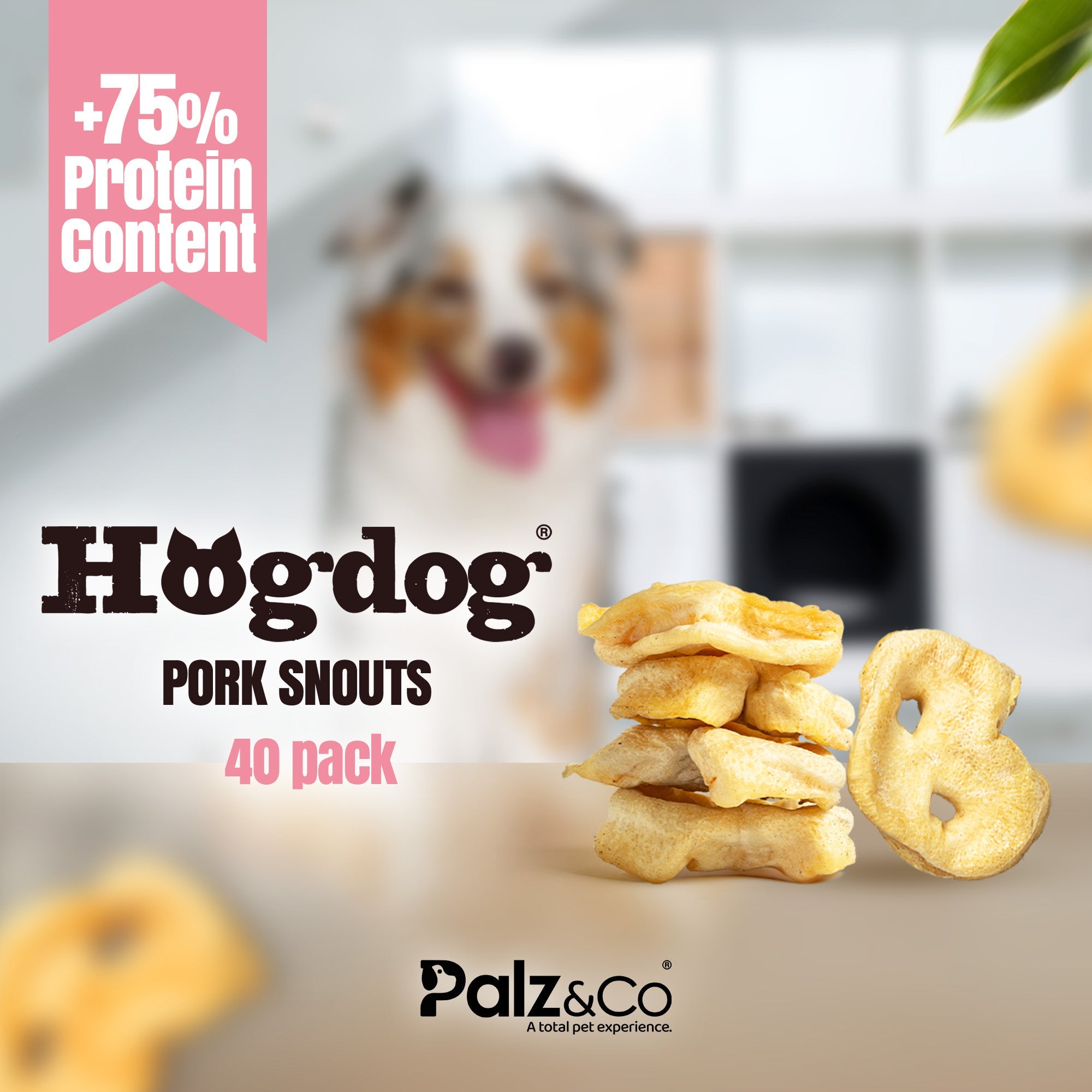 Hogdog Pork Snouts - Pack of 40