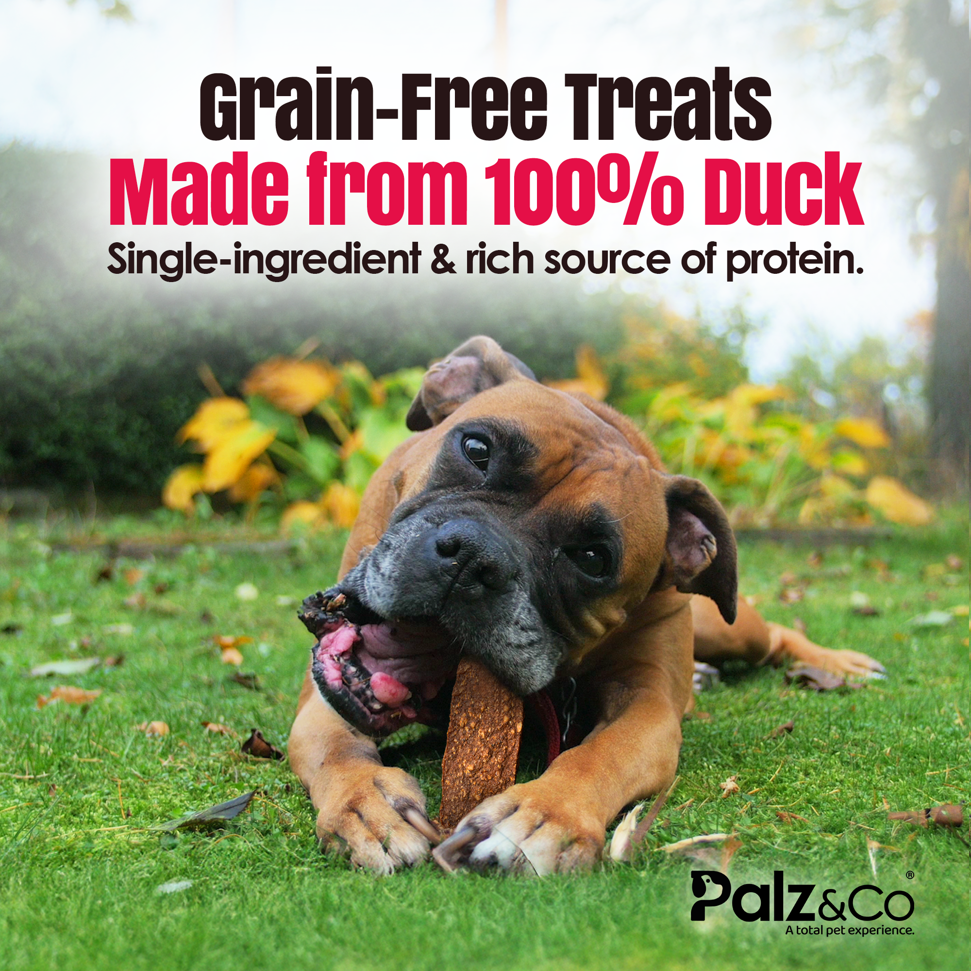 Birddog Duck Jerky Chews - Pack of 10