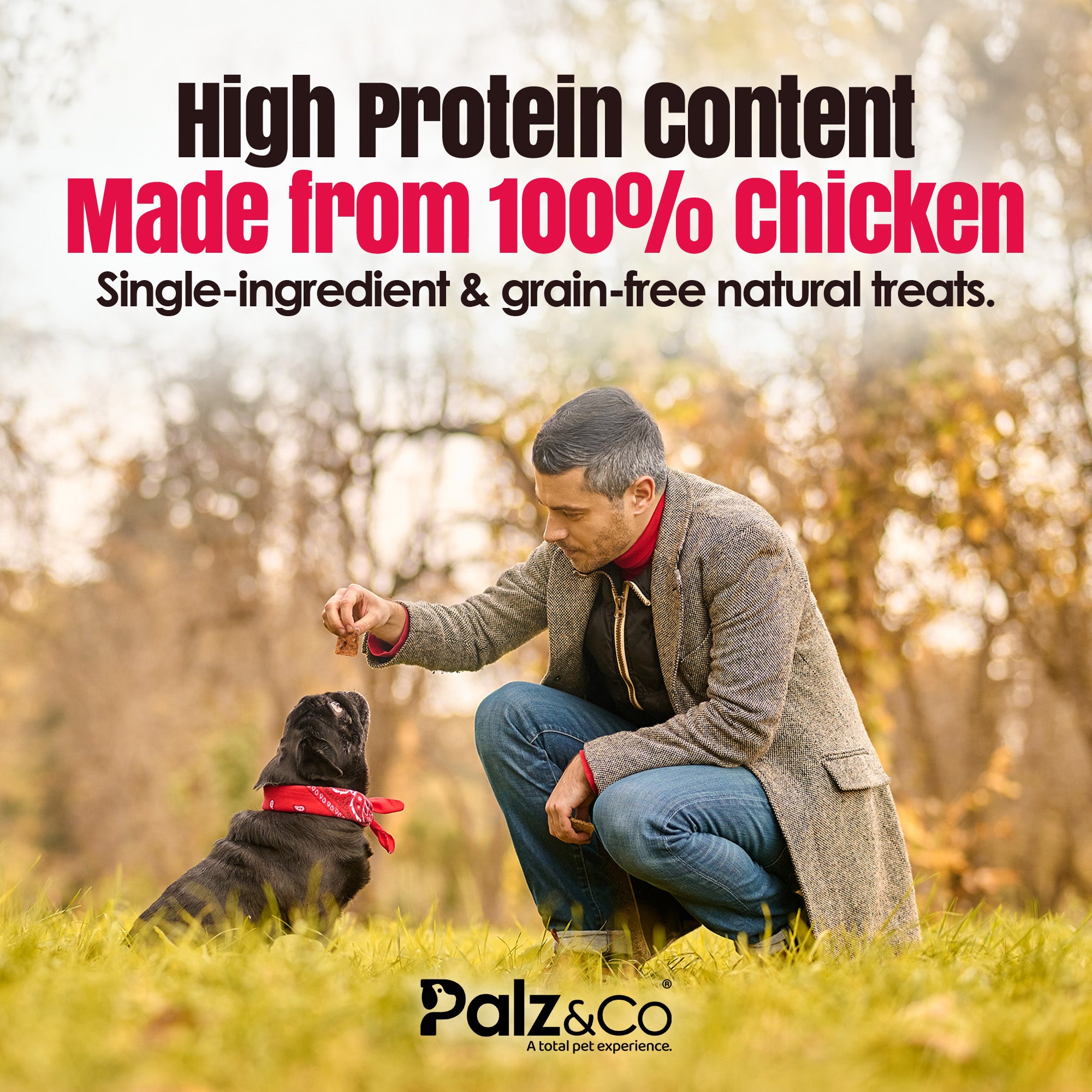 Birddog Chicken Bites Dog Treats - 6 oz