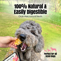 Hogdog Pork Snouts, 5 Pack