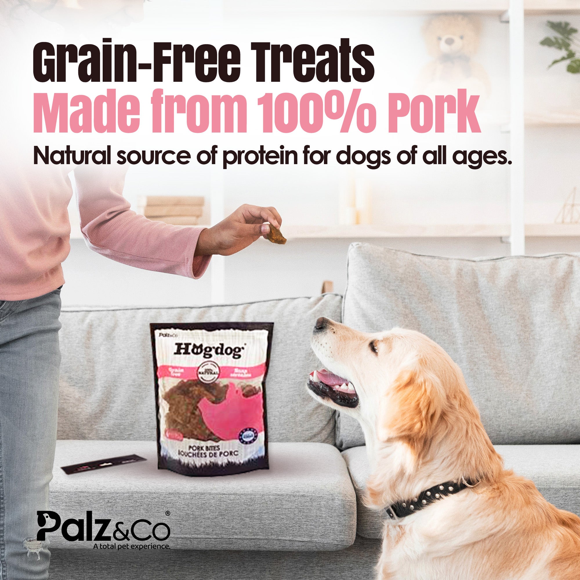 Hogdog Pork Bites Dog Treats - 6 oz