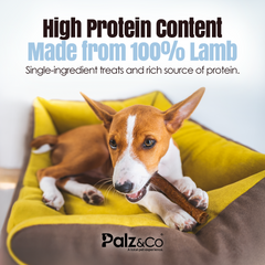 Lambdog Lamb Sausage Dog Treats - 8 & 20 Pack